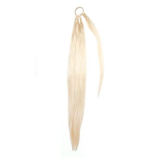 24" Insta Braid - Champagne Blonde